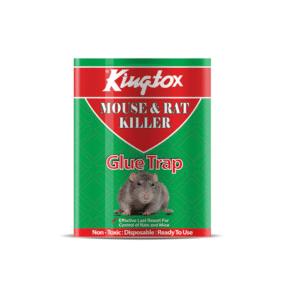 KING MOUSE GLUE TRAP